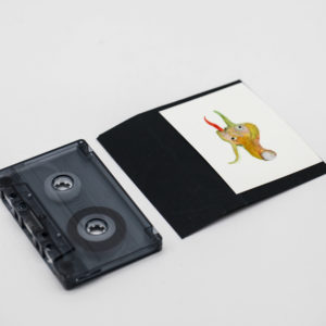diego-cinquegrana-aima-lichtblau-oxyuranus-ritual-dark-ambient-issue-1-opus-II-III-foto-6