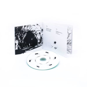 haiku-irregolari-in-forma-di-musica-aima-lichtblau-booklet-graphic-design-©-diego-cinquegrana-aimaproject-sa-1024x1024
